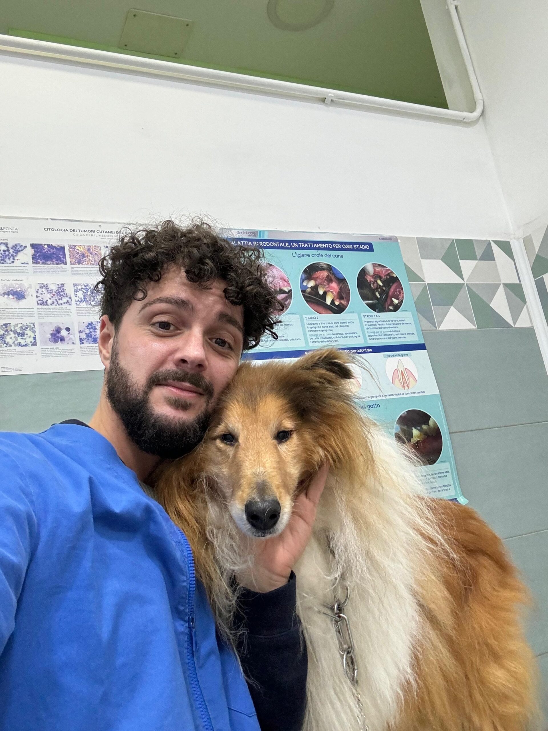 Visita oculistica certificata cane collie